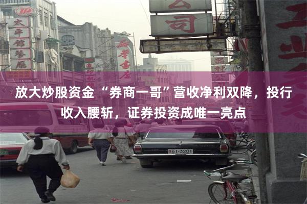 放大炒股资金 “券商一哥”营收净利双降，投行收入腰斩，证券投资成唯一亮点