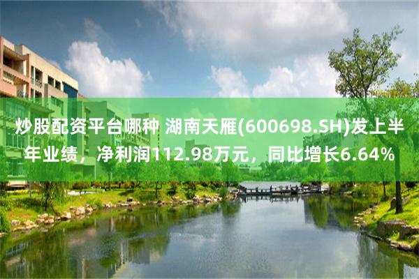 炒股配资平台哪种 湖南天雁(600698.SH)发上半年业绩，净利润112.98万元，同比增长6.64%