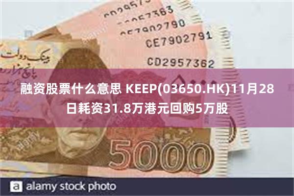 融资股票什么意思 KEEP(03650.HK)11月28日耗资31.8万港元回购5万股