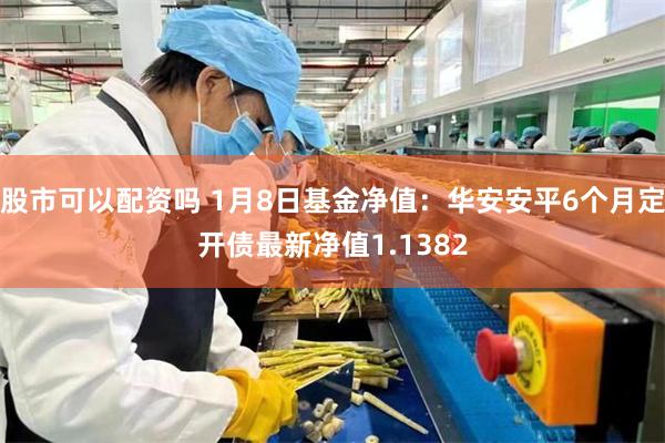 股市可以配资吗 1月8日基金净值：华安安平6个月定开债最新净值1.1382