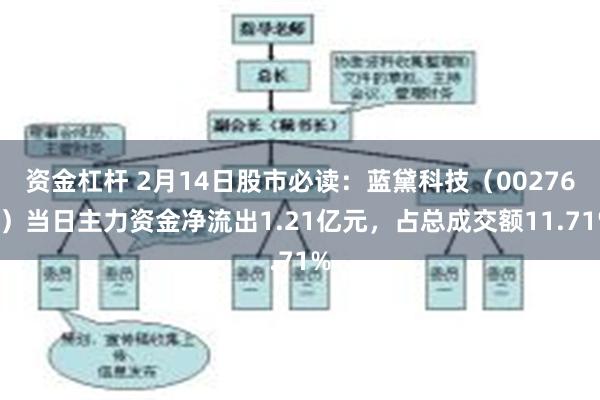 资金杠杆 2月14日股市必读：蓝黛科技（002765）当日主力资金净流出1.21亿元，占总成交额11.71%