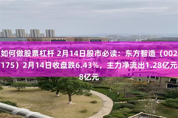 如何做股票杠杆 2月14日股市必读：东方智造（002175）2月14日收盘跌6.43%，主力净流出1.28亿元